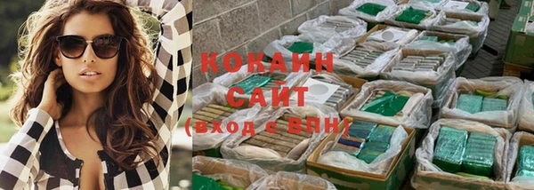 сатива Волоколамск